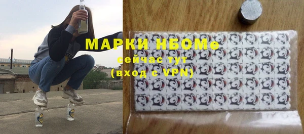 хмурый Алексин