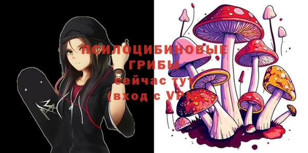 spice Алексеевка