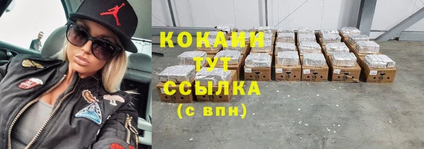 хмурый Алексин
