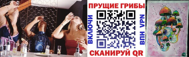 Галлюциногенные грибы GOLDEN TEACHER  как найти закладки  Нестеров 